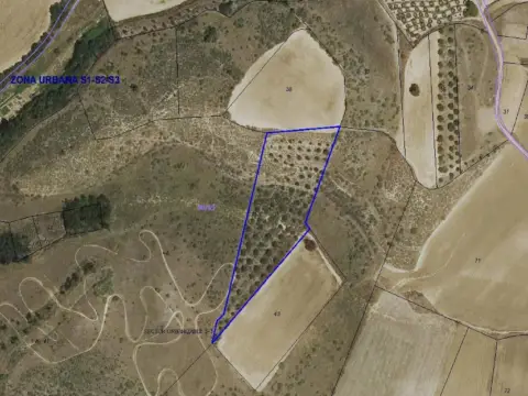 Finca rústica en Tórtola de Henares